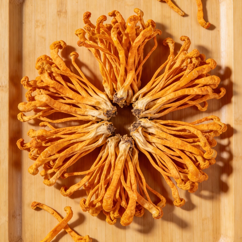 High-quality Dry Cordyceps Flo - Baby Products Soap reseña y precio