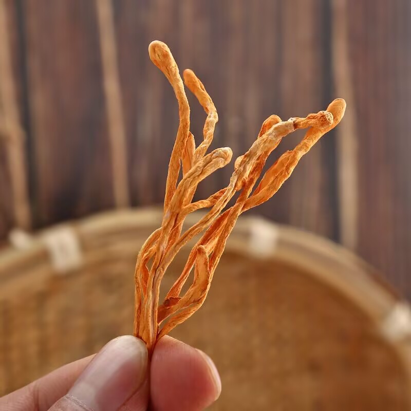 High-quality Dry Cordyceps Flo - Baby Products Soap reseña y precio